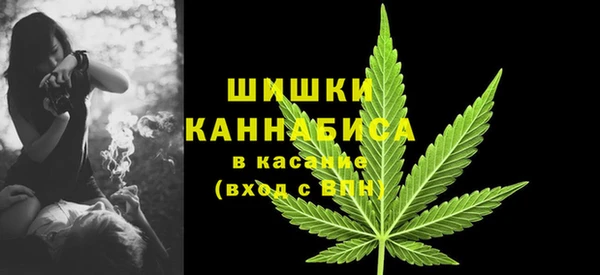 стафф Медвежьегорск