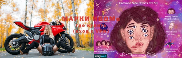 стафф Медвежьегорск