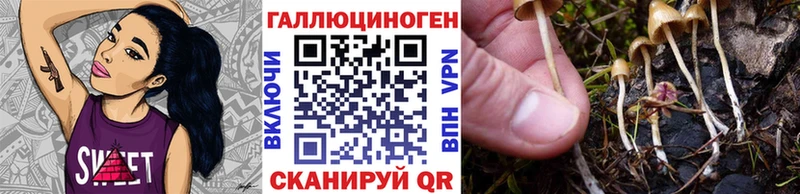 OMG ТОР  Венёв  Галлюциногенные грибы GOLDEN TEACHER  наркотики 