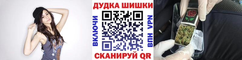 Конопля индика  где купить наркоту  Венёв 
